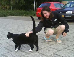 Mel, Antwerp