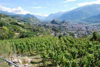 Sonja Guldi, Valais
