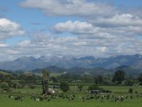 Current Employment Opportunities in New Zealand