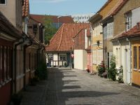 Expat Life in the Danish City of Odense