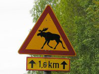 Dealing With Culture Shock In Finland – Some Advice For New Expats