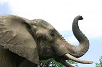 5 Things You Should Know Before Moving To South Africa