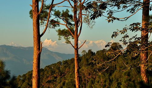 India – Top Five Expat Blogs