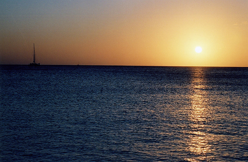 5 Experiences You Must Try As An Expat In The Cayman Islands