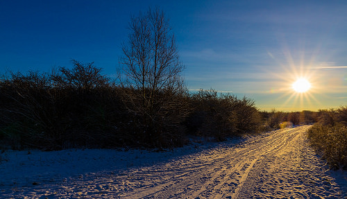 Preparing For The Climate In Denmark