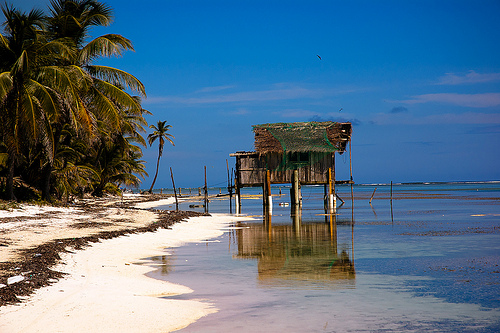 Rebecca Coutant, Ambergris Caye