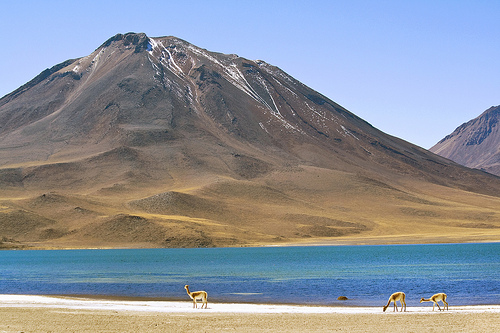 The Traditional Folk Music Of Chile – Artists You Should Know