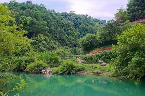 What Is It Like To Live And Work In Rural Vietnam?