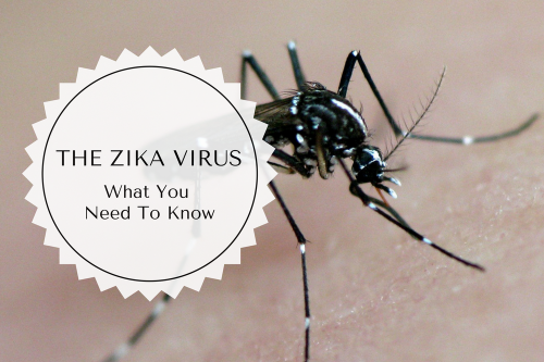 The Zika Virus – What Do Expats In Brazil Need To Know?