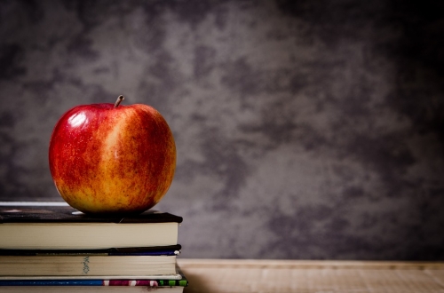 An Expat Guide To Schools In Brussels