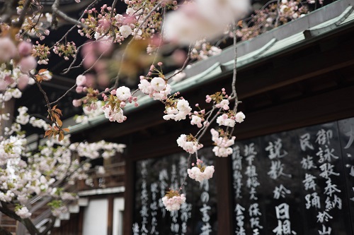 Moving To Japan? Here’s What You Need To Know Before You Arrive