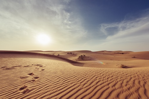 Will The Omanisation Drive Affect You?