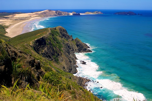 Report: Expats In New Zealand Are Good For The Country!