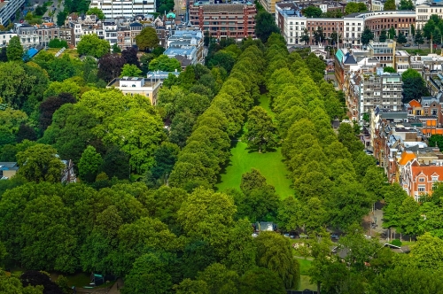 A Guide To Renting An Apartment In The Netherlands