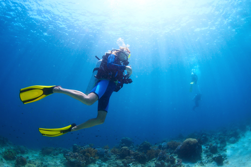 A Guide To Bermuda’s Best Scuba Clubs