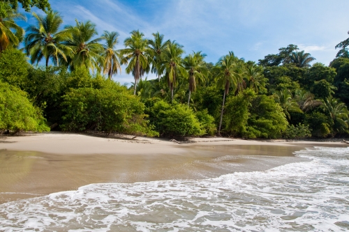 Contributing In Costa Rica: An Expat Guide To Community Projects