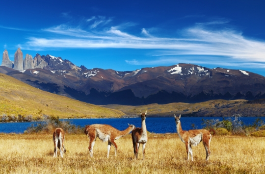 Which Region Of Chile Should You Move To?