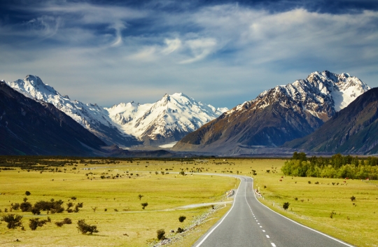 How New Zealand’s New Online Visa System Might Affect Your Family