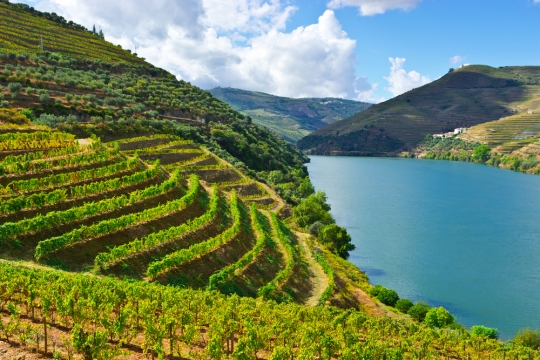 Getting Your Atestado De Residência in Portugal