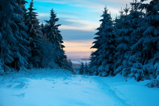 How To Prepare For Winter In Germany