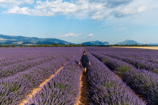 What Documentation Will You Need To Stay In France Following Brexit?