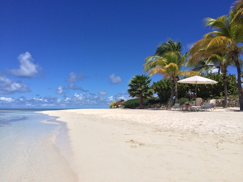 Discovering The Education System In Antigua And Barbuda