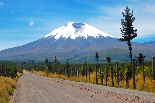 Working Visas In Ecuador: An Expat Guide