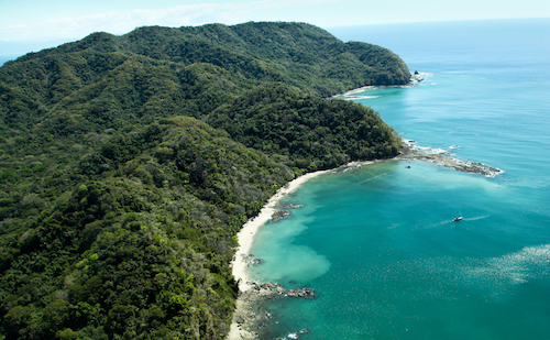 Moving To Costa Rica? Here’s What You Need To Know About The Zika Virus
