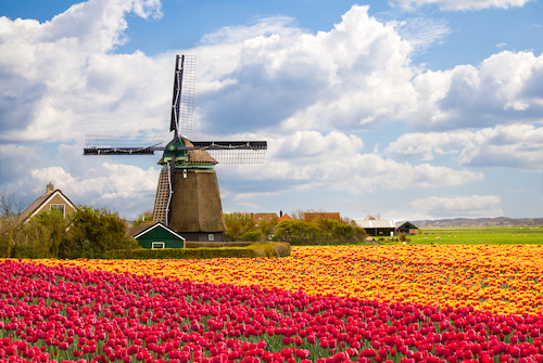 Prescriptions In The Netherlands: What Is Available And How To Ensure You Get The Right Level Of Care