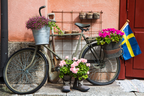 How To Keep Your Health Insurance Costs Low In Sweden