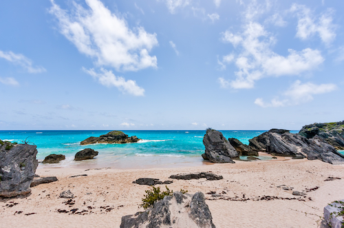 How To Find A Job In Bermuda