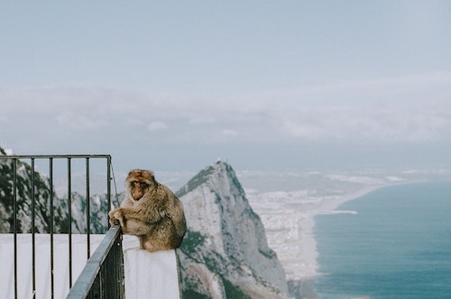 How To Find A Job In Gibraltar