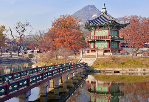 How To Find A Job In South Korea