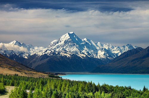 How To Rent Or Buy Property In New Zealand