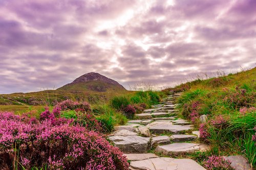 How To Learn The Language In Ireland