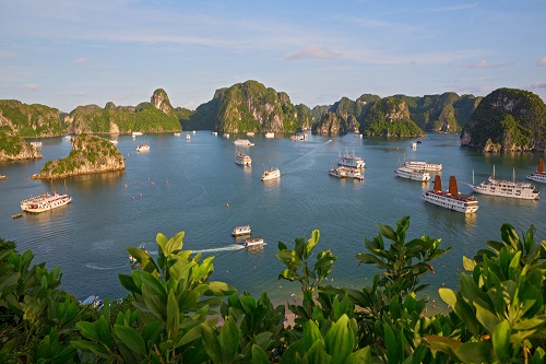 Complementary Therapies In Vietnam And How To Access Them
